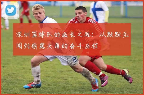 深圳篮球队的成长之路：从默默无闻到崭露头角的奋斗历程