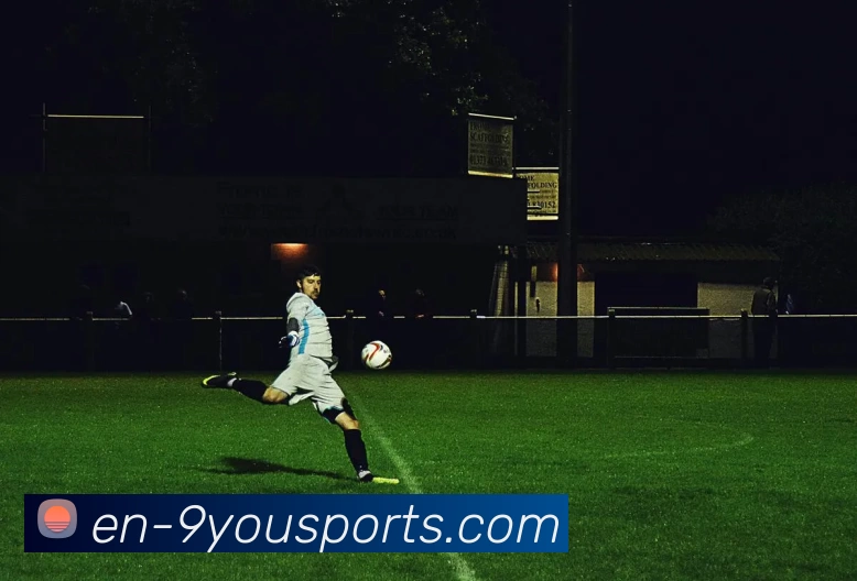 九游体育官网平台生态图